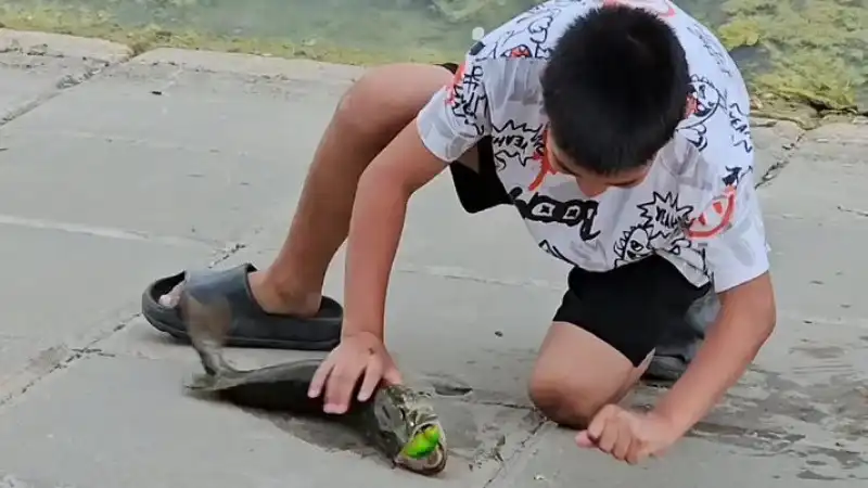 Актобе: юные рыболовы стали звездами соцсетей после удачного улова на реке Илек Актобе