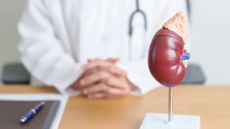 Почка на продажу: как закон спасла казахстанца? Актобе