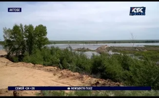 В Актобе дачники требуют остановить добычу песка у Кривого озера