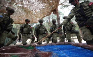 Турецкие военные могут отправиться в Украину: названы три условия для миротворческой миссии