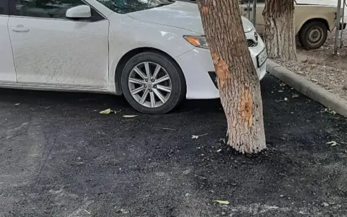 В Шымкенте деревья оказались закатаны в асфальт при ремонте двора Актобе