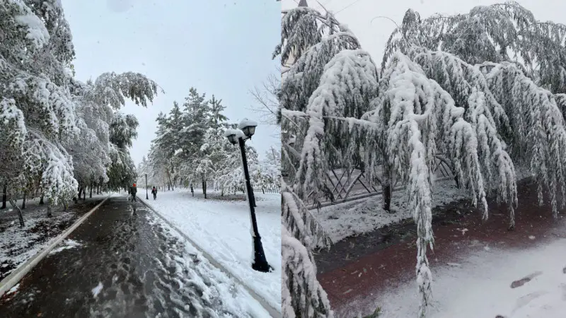 Первый снег в Астане и Костанае: зимняя сказка, которая застала врасплох. Казнет бурлит эмоциями, жители делятся яркими снимками и видео, превращая холодный день в теплые воспоминания. Шутки и метафоры о "снежном сюрпризе" заполнили ленты соцсетей, подчер Актобе