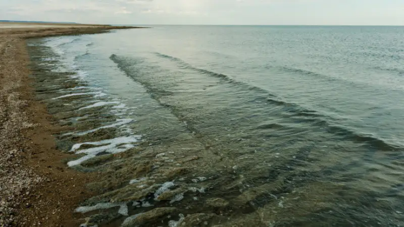 Казахстан успешно восстанавливает Северное Аральское море, направив миллиарды кубометров воды Актобе