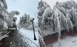 Первый снег в Астане и Костанае: зимняя сказка, которая застала врасплох. Казнет бурлит эмоциями, жители делятся яркими снимками и видео, превращая холодный день в теплые воспоминания. Шутки и метафоры о "снежном сюрпризе" заполнили ленты соцсетей, подчер