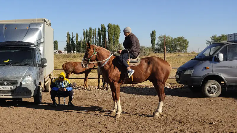 Село против города: как жизнь в южных аулах Казахстана отражает контраст между традициями и современностью Актобе