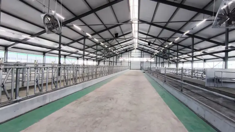 В Костанайской области запустили молочно-товарную ферму на 1200 голов (6)