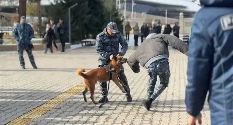 Студенты Жетысу восхищены навыками полицейской собаки на встрече с правоохранителями Актобе