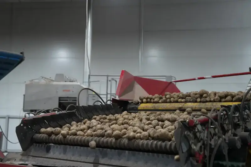 Прогноз производства и потребления лука и картофеля в Казахстане 2025 Актобе