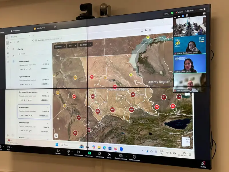 Запуск интеллектуальной системы мониторинга саранчовых вредителей: шаг к улучшению фитосанитарного контроля в сельском хозяйстве Актобе