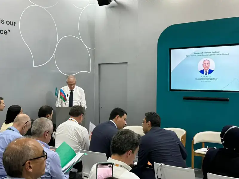 Сайд-ивент посвящённый снижению уровня Каспийского моря (2)
