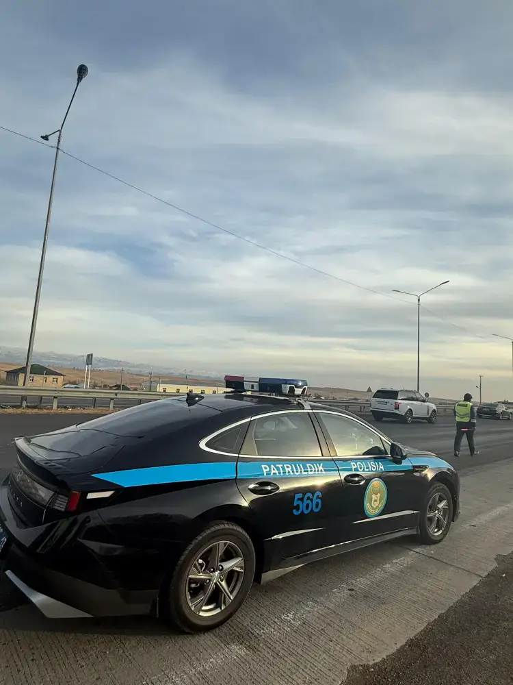 В Туркестанской области приняты меры по стабилизации цен на нефтепродукты и предотвращению незаконных перевозок (2)