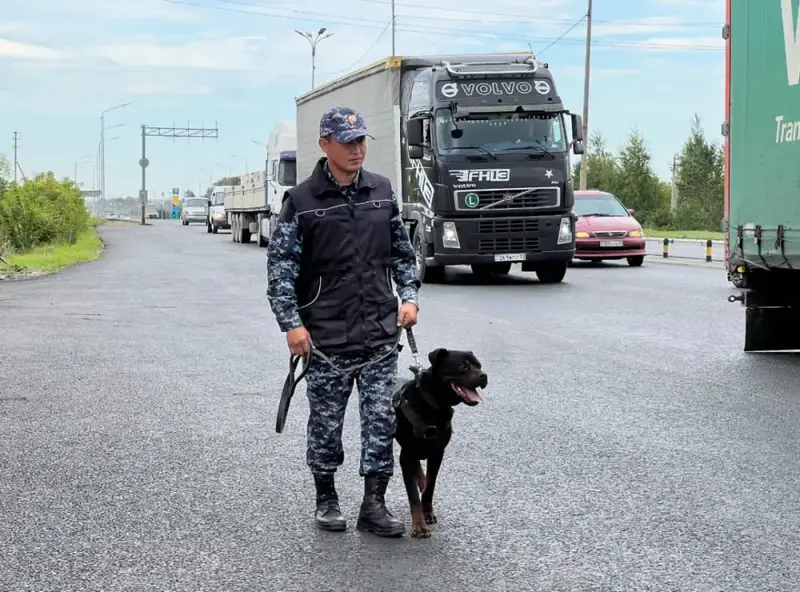 В Астане служебная собака обнаружила гашиш в автомобиле, задержан 33-летний подозреваемый Актобе