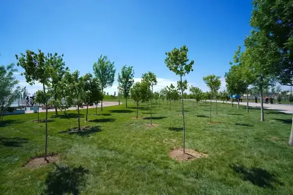 ТУРКЕСТАН: ГРАЖДАНЕ АКТИВНО УЧАСТВУЮТ В СУББОТНИКАХ, ВЫВЕЗЕНО 186 ТОНН МУСОРА Актобе