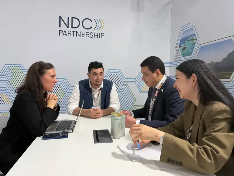 Состоялась двусторонняя встреча вице-министра Мансура Ошурбаева с представителями Партнёрства по ОНУВ (NDC Partnership) (2)