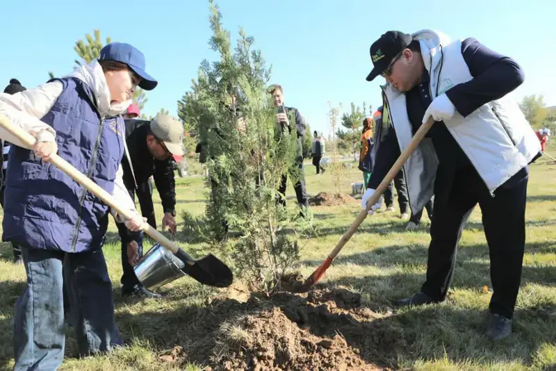 В ТУРКЕСТАНЕ ПРОШЛА АКЦИЯ ПО ПОСАДКЕ ДЕРЕВЬЕВ В ОСЕННИЙ ПЕРИОД В ДЕНДРОСАДУ (2)