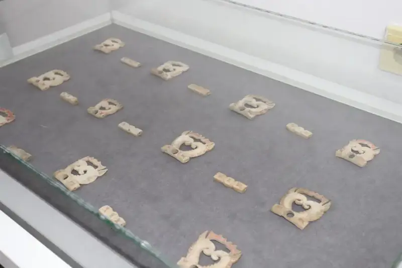 В Павлодаре открылась передвижная выставка «Берельские курганы – вечное наследие Алтая» (5)