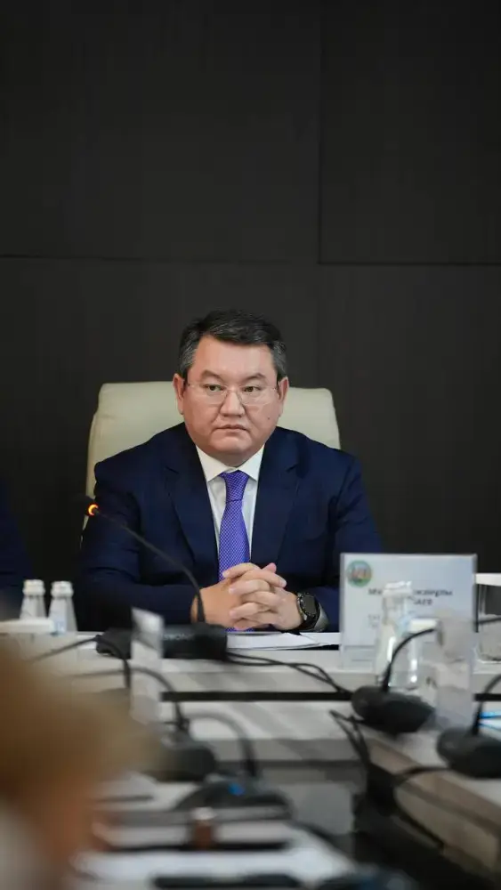 Обсуждение идей с советником в Алтайском районе Актобе