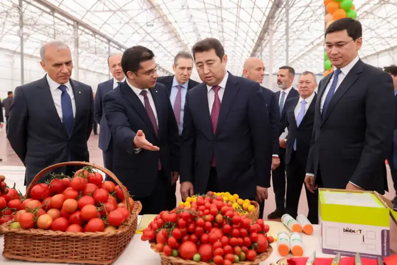 Тепличный комплекс «ALSERA KZ» мощностью 155 тыс. тонн томатов в год запустили в Шымкенте (6)