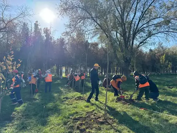 ТУРКЕСТАН: САЯНСКИЙ РАЙОН ОБРЕТАЕТ НОВУЮ ЗЕЛЕНЬ БЛАГОДАРЯ ВЫСАДКЕ 100 ДЕРЕВЬЕВ Актобе