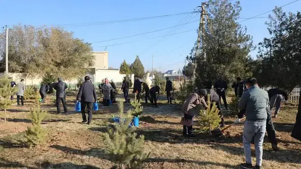 Арыс: город, где деревья становятся союзниками! Актобе