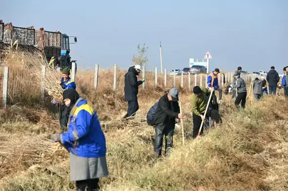 Жетысай: Посажено 7000 саженцев в субботнике Актобе