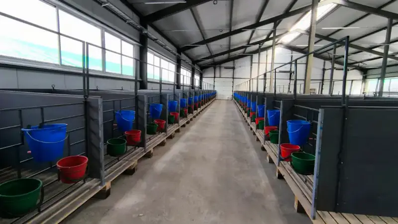 В Костанайской области открыли молочно-товарную ферму на 1200 голов с мощностью 6700 тонн молока в год Актобе