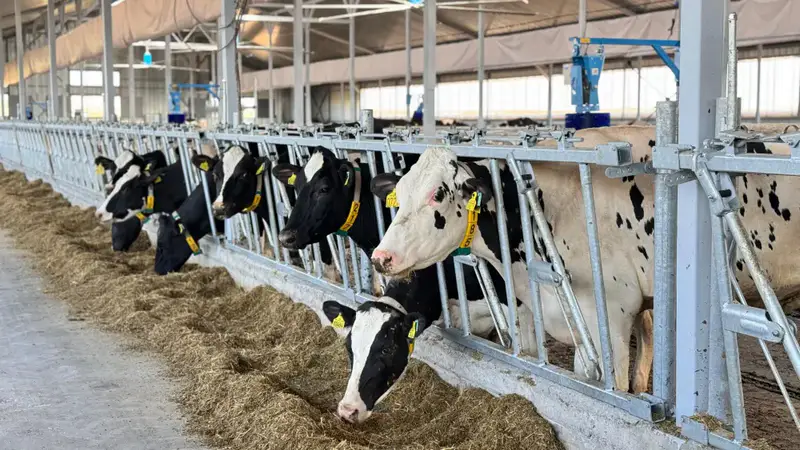 В Казахстане отмечен рост валовой продукции сельского хозяйства на 5,4% (3)