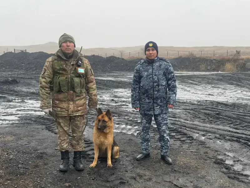 Сверток среди угля: как гвардеец сорвал попытку проноса 8 телефонов в УИС (2)