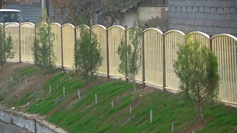 Посадка деревьев: делаем природу лучше вместе! Актобе