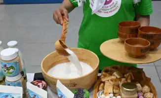 Жетісу: мороженое из саумала от Райгуль