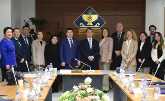 Модернизация внутреннего государственного аудита в Казахстане: влияние обучения и международного сотрудничества на профессиональное развитие аудиторов