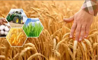 Рост производства сельхозпродукции в Актюбинской области на 296,8 млрд тенге: влияние инвестиций и государственной поддержки