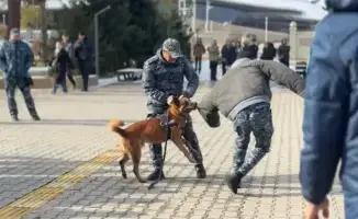 Студенты Жетысу восхищены навыками полицейской собаки на встрече с правоохранителями