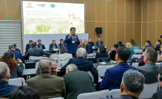 Эксперты обсуждают устойчивое использование сайгака в Самарканде