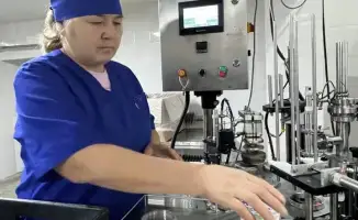 Аграрный сектор Коксуского района: производство сельхозпродукции достигло 30,5 млрд. тенге