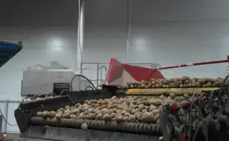 Прогноз производства и потребления лука и картофеля в Казахстане 2025