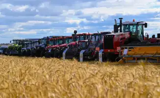 Производство сельхозпродукции в Акмолинской области достигло 1 триллиона тенге