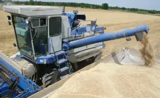 Рост сельскохозяйственного производства в Казахстане на 5,4% в 2023 году