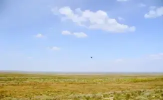 Возврат неиспользуемых сельскохозяйственных земель в Абайской области: влияние на аграрный сектор и развитие пастбищ