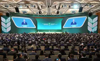 Айдарбек Сапаров: Развитие животноводства как фактор повышения продовольственной безопасности и экспорта продукции