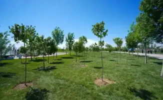 ТУРКЕСТАН: ГРАЖДАНЕ АКТИВНО УЧАСТВУЮТ В СУББОТНИКАХ, ВЫВЕЗЕНО 186 ТОНН МУСОРА