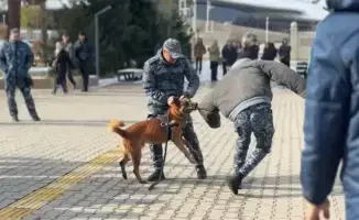 Студенты Жетысуского университета узнали о вреде наркотиков на встрече с полицейскими и служебной собакой