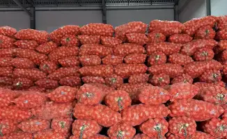 Запасы на зиму: 4,5 миллиарда тенге для продовольственной крепости Актюбинской области