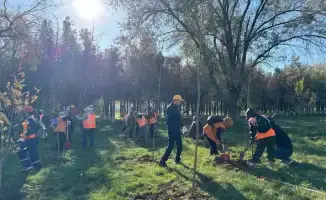 ТУРКЕСТАН: САЯНСКИЙ РАЙОН ОБРЕТАЕТ НОВУЮ ЗЕЛЕНЬ БЛАГОДАРЯ ВЫСАДКЕ 100 ДЕРЕВЬЕВ