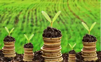 Финансовый мост для аграриев: льготное кредитование АПК прокладывает путь к успеху