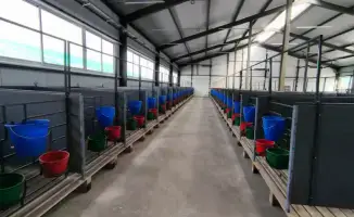 В Костанайской области открыли молочно-товарную ферму на 1200 голов с мощностью 6700 тонн молока в год