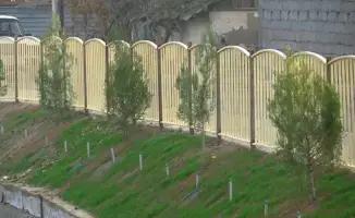 Посадка деревьев: делаем природу лучше вместе!