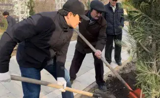 Актобе: более 11 тысяч деревьев и 150 новых сосен укрепляют экологию города благодаря поддержке предпринимателей