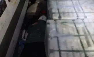 Креативные контрабандисты: попытка провоза 'живых стройматериалов' на границе Жайсан