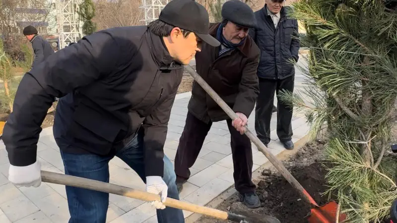 Актобе: более 11 тысяч деревьев и 150 новых сосен укрепляют экологию города благодаря поддержке предпринимателей Актобе